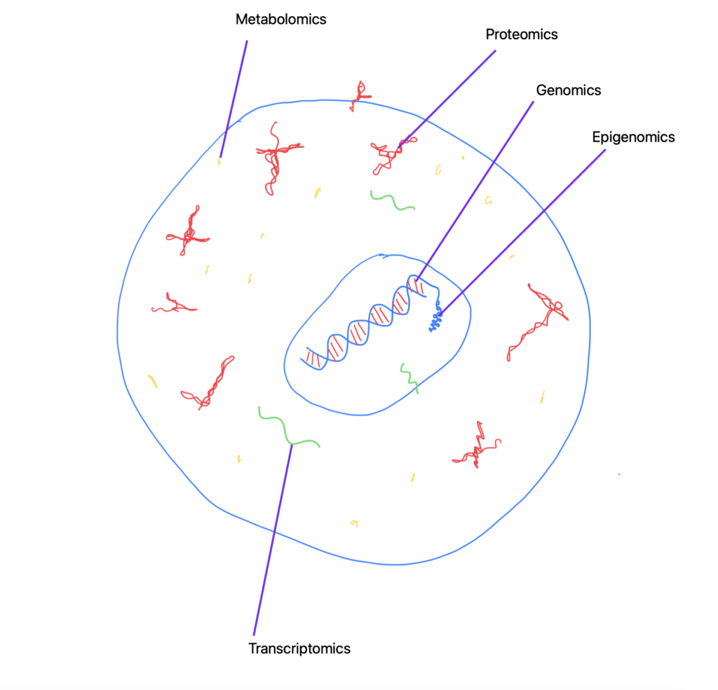 An illustration of the cell with genomics, transcriptomics, epigenomics, proteomics and metabolomics